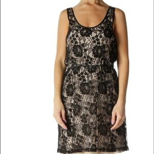 Express Beige Black Lace Holiday A-Line Dress. Size XS